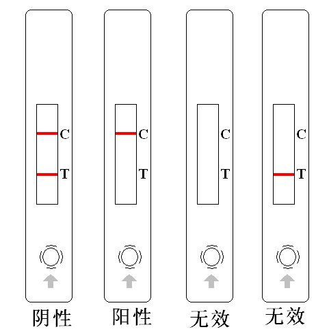呋喃西林結果圖示-瑞奇生物